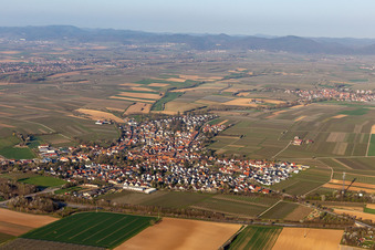 Aerial view of Insheim in the state Rhineland-Palatinate, Germany