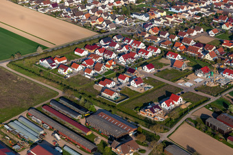 On the intermediate path in Hördt in the state Rhineland-Palatinate, Germany