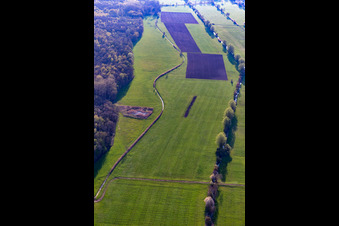 Meadows between Erlenbach and Flutgraben in Steinweiler in the state Rhineland-Palatinate, Germany