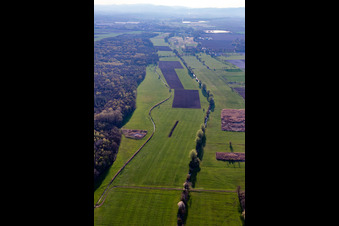 Aerial view of Meadows between Erlenbach and Flutgraben in Steinweiler in the state Rhineland-Palatinate, Germany