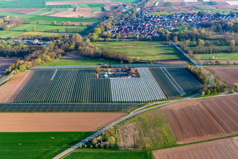 Aerial photograpy of Asparagus and Obsthof Gensheimer in Steinweiler in the state Rhineland-Palatinate, Germany
