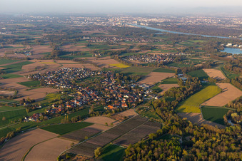 Aerial view of Village on the river bank areas of the Rhine river in Diersheim in the state Baden-Wurttemberg, Germany