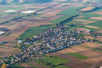 Agricultural land and field boundaries surround the settlement area of the village in Schuttern in the state Baden-Wuerttemberg, Germany