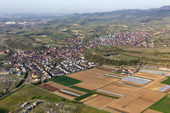 Aerial view of Eichstetten am Kaiserstuhl in the state Baden-Wuerttemberg, Germany