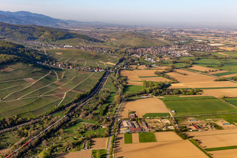 Aerial view of Basler Landstr in the district Wolfenweiler in Schallstadt in the state Baden-Wuerttemberg, Germany