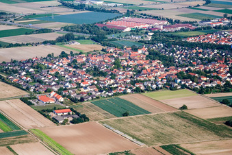 Aerial view of Town View of the streets and houses of the residential areas in the district Schauernheim in Dannstadt-Schauernheim in the state Rhineland-Palatinate