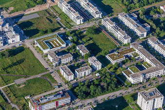Technology Park in the district Rintheim in Karlsruhe in the state Baden-Wuerttemberg, Germany seen from a drone
