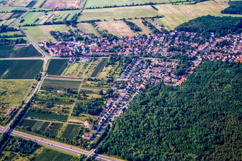 Acacia settlement from the south in Ellerstadt in the state Rhineland-Palatinate, Germany