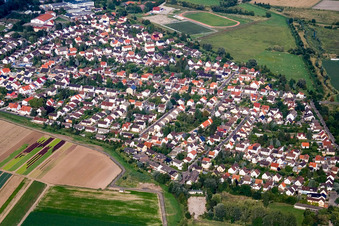 Aerial view of Town View of the streets and houses of the residential areas in Lambsheim in the state Rhineland-Palatinate