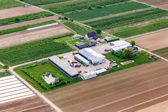 The farmer in Winden in the state Rhineland-Palatinate, Germany