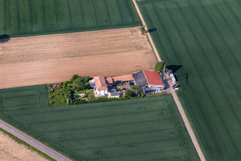 Aerial view of Bioland Winery Neuspergerhof in Rohrbach in the state Rhineland-Palatinate, Germany