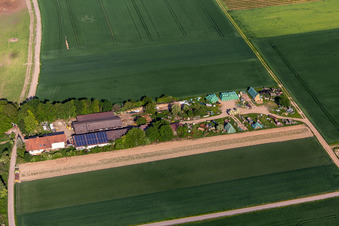 Enclosure path in Altdorf in the state Rhineland-Palatinate, Germany