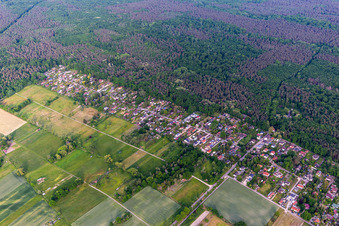 In pleasure hunting in the district Iggelheim in Böhl-Iggelheim in the state Rhineland-Palatinate, Germany
