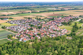 Freisbach in the state Rhineland-Palatinate, Germany from above