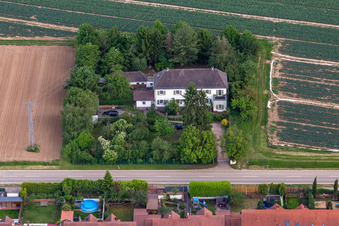 Bird's eye view of District Niederlustadt in Lustadt in the state Rhineland-Palatinate, Germany