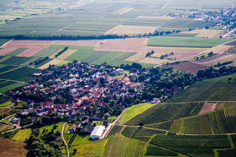 Village from the east in Bissersheim in the state Rhineland-Palatinate, Germany