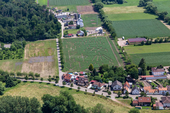 Corn maze & beach lounge Steinweiler Seehof in Steinweiler in the state Rhineland-Palatinate, Germany