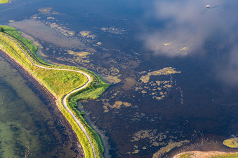 Aerial view of Water surface at the seaside in the Flensburger Foerde in Holnis in the state Schleswig-Holstein, Germany