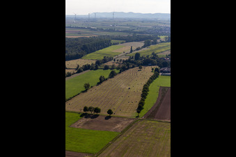 Flood ditch, Erlenbach. Buschurgraben in Steinweiler in the state Rhineland-Palatinate, Germany