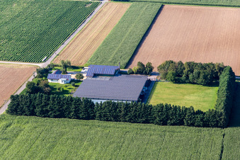 Steinweiler in the state Rhineland-Palatinate, Germany seen from a drone