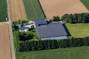 Aerial view of Steinweiler in the state Rhineland-Palatinate, Germany
