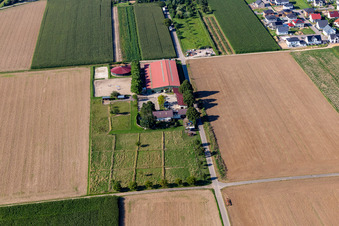 Equestrian center Fohlenhof in Steinweiler in the state Rhineland-Palatinate, Germany seen from above