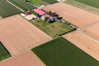 Equestrian center Fohlenhof in Steinweiler in the state Rhineland-Palatinate, Germany from the plane
