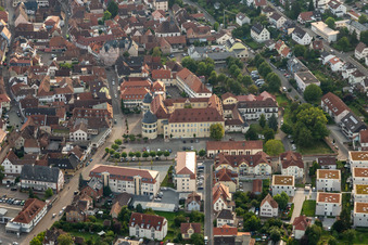 Aerial view of Castle Bad Bergzabern in Bad Bergzabern in the state Rhineland-Palatinate, Germany