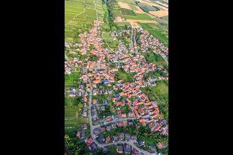 Aerial view of View of the winegrowing village from the west in Oberotterbach in the state Rhineland-Palatinate, Germany
