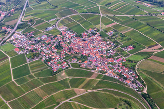Birkweiler in the state Rhineland-Palatinate, Germany from above
