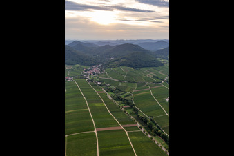 Fields of wine cultivation landscape in Leinsweiler in the state Rhineland-Palatinate, Germany