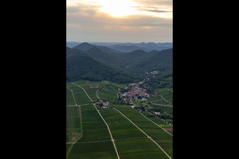Aerial photograpy of Fields of wine cultivation landscape in Leinsweiler in the state Rhineland-Palatinate, Germany