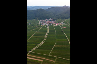 Fields of wine cultivation landscape in Eschbach in the state Rhineland-Palatinate, Germany