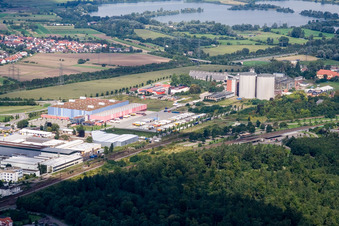 Dm-Drogeriemarkt GmbH in the district Oberhausen in Oberhausen-Rheinhausen in the state Baden-Wuerttemberg, Germany