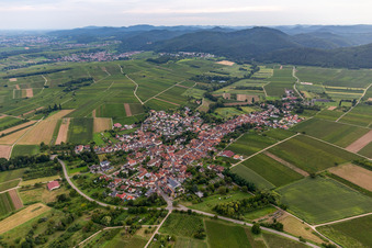 Agricultural land and field borders surround the settlement area of the village in Goecklingen in the state Rhineland-Palatinate, Germany from above