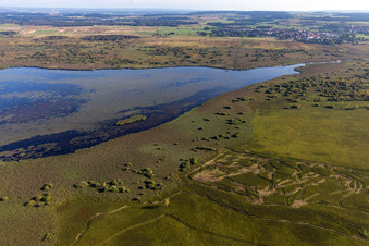 Federsee in Bad Buchau in the state Baden-Wuerttemberg, Germany