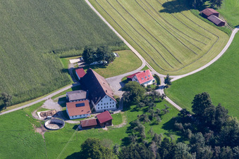 Sheep farm in the district Witschwende in Bergatreute in the state Baden-Wuerttemberg, Germany