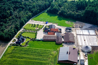 Körvershof in the district Boekholt in Straelen in the state North Rhine-Westphalia, Germany