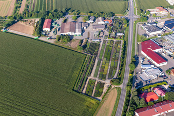 Tree nursery Karl Schlegel oHG in the district Eichenau in Riedlingen in the state Baden-Wuerttemberg, Germany