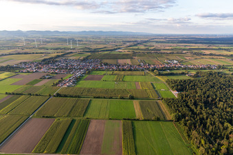 Bird's eye view of Freckenfeld in the state Rhineland-Palatinate, Germany