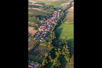 Bird's eye view of Vollmersweiler in the state Rhineland-Palatinate, Germany