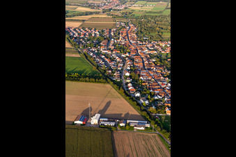 District Schaidt in Wörth am Rhein in the state Rhineland-Palatinate, Germany seen from above