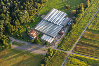 Aerial photograpy of Cactus Land Steinfeld in Steinfeld in the state Rhineland-Palatinate, Germany