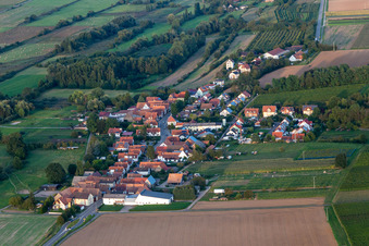 Aerial view of Hergersweiler in the state Rhineland-Palatinate, Germany