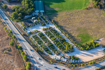 Peperonière La Colle Black in Montauroux in the state Var, France