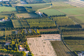 Aerial view of Wind-protected plantations in the district Zone Nord-Est Urbaine in Tarascon in the state Bouches du Rhone, France