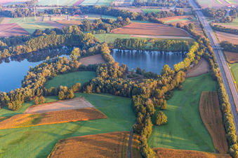 Rheinzabern in the state Rhineland-Palatinate, Germany from above