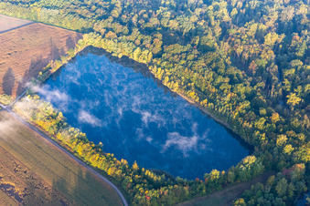 Early morning fog in the Rhine meadows in Hördt in the state Rhineland-Palatinate, Germany