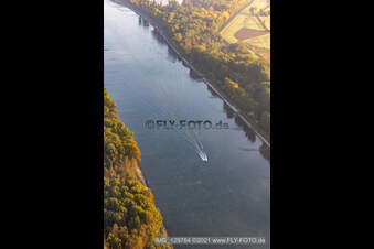Sports boat on the Rhine in Hördt in the state Rhineland-Palatinate, Germany