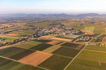 Aerial photograpy of Impflingen in the state Rhineland-Palatinate, Germany